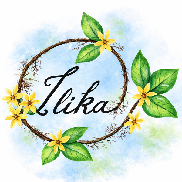 Ilika Works